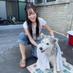 Charada Imraporn Instagram - วันวุ่นๆของ @tamagochan_husky 🐶 #chalalaandfriends