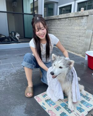Charada Imraporn Instagram - วันวุ่นๆของ @tamagochan_husky 🐶 #chalalaandfriends
