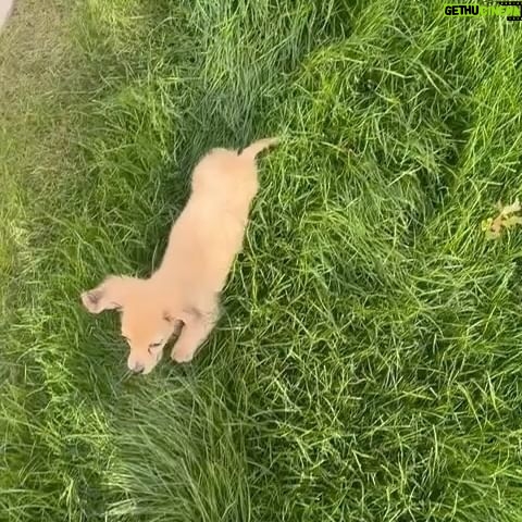 Charles Leclerc Instagram - Welcome home baby Leo 🤍🤍🤍