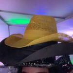 Charli D'Amelio Instagram - goodbye palm springs