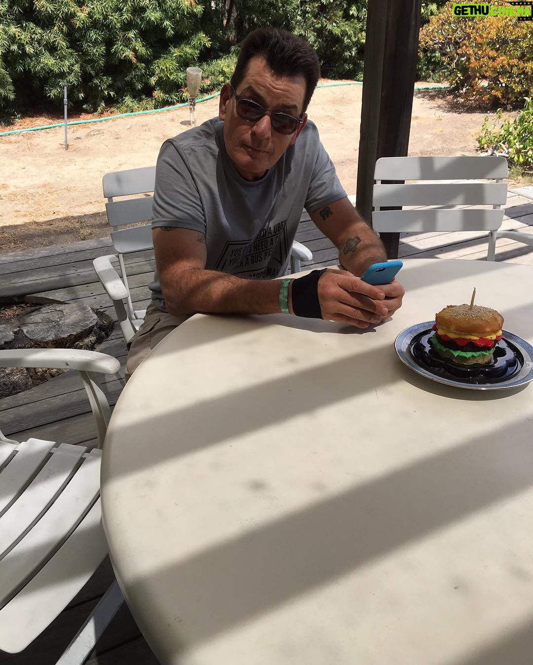Charlie Sheen - 22.9K Likes -