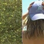 Charlotte McKinney Instagram - Endless summer @saiebeauty by @amandaaamus