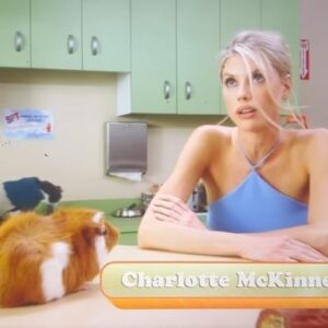 Charlotte McKinney Instagram - Divorce is never easy 🤦🏼‍♀️ Watch Stupid Pet Tricks on @tbsnetwork Mondays at 9pm ET ! 🐹