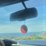 Charlotte McKinney Instagram - Things I forgot to post 🏄🏼‍♀️🐕‍🦺🤷🏼‍♀️