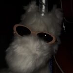 Chayanit Chansangavej Instagram - 🤍 #gentlemonster #jentlesalon #gentlemonsterxjennie