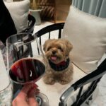 Chayanit Chansangavej Instagram - cheers