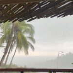 Chelsea Peretti Instagram - 🥰❤️Things I saw in #costarica #puravida #protectourrainforests Astounding!