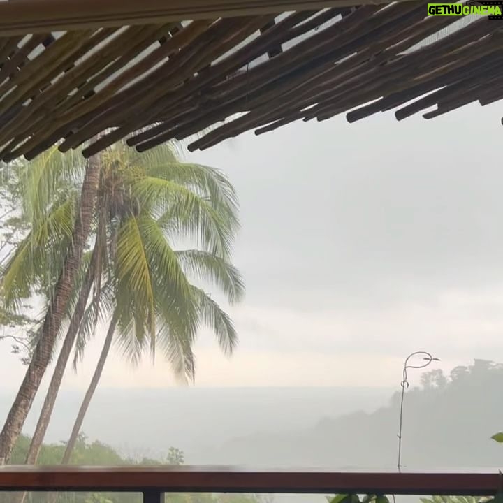 Chelsea Peretti Instagram - 🥰❤️Things I saw in #costarica #puravida #protectourrainforests Astounding!
