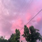 Chelsea Peretti Instagram -