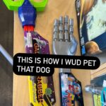 Chelsea Peretti Instagram - The darlin lil anon dog discussed on the recent pod ep (who I am calling “ joe bitin’) “ did some damage. For those who want to see what caliber of bite sent 3 dinner party guests to the ER u can a-go a-scrollin on through! l’m not gonna say tw: blood bc id have to say tw: hamburger meat and tw: danglin skin 🐾🐾@callchelseaperetti