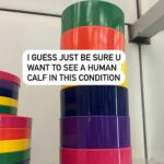 Chelsea Peretti Instagram - The darlin lil anon dog discussed on the recent pod ep (who I am calling “ joe bitin’) “ did some damage. For those who want to see what caliber of bite sent 3 dinner party guests to the ER u can a-go a-scrollin on through! l’m not gonna say tw: blood bc id have to say tw: hamburger meat and tw: danglin skin 🐾🐾@callchelseaperetti