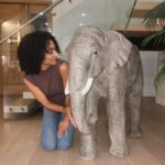 Chelsea Tavares Instagram - 💕🐘Harry Elephanté