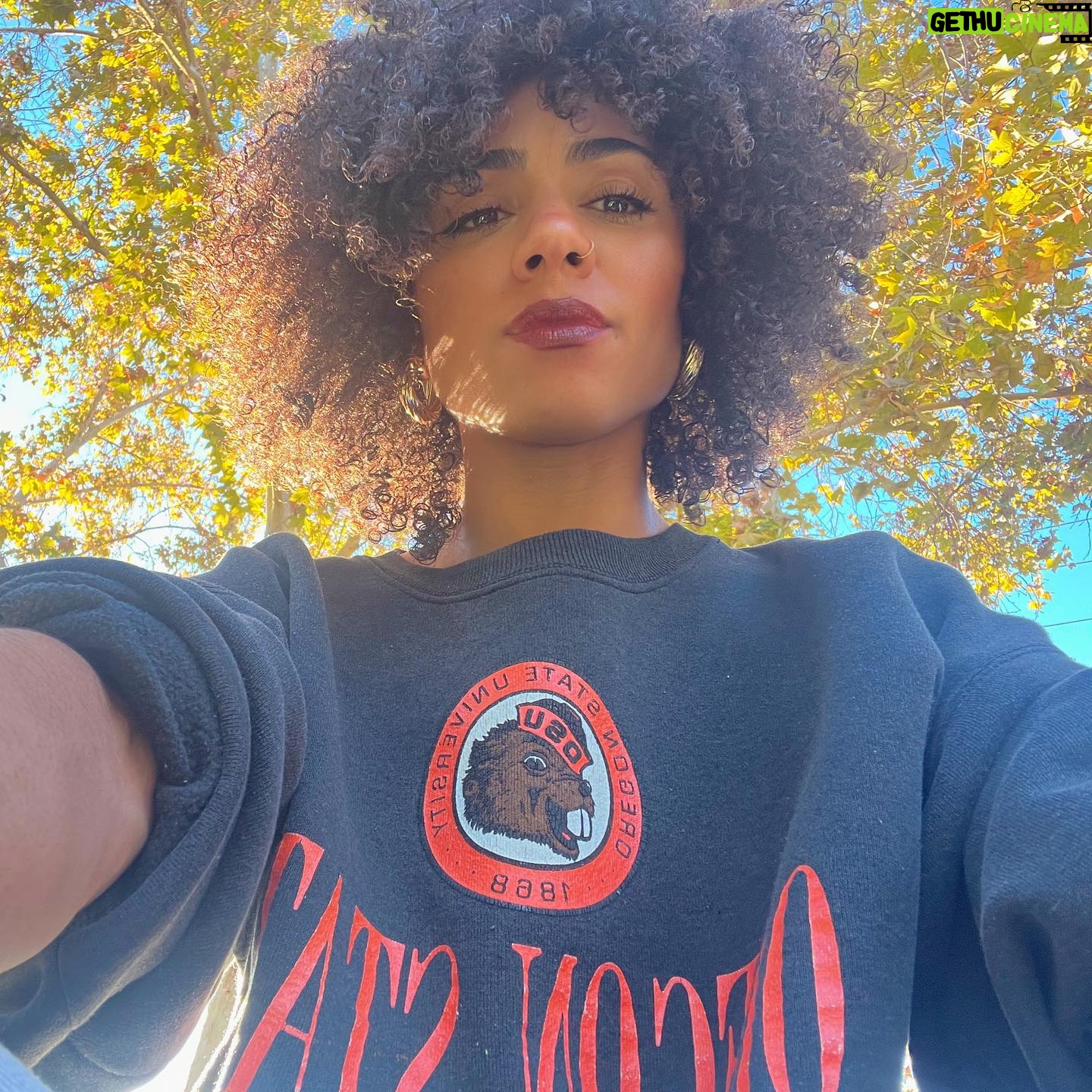Chelsea Tavares Instagram - November… 🤎🍂