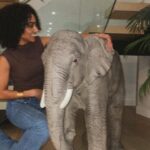 Chelsea Tavares Instagram - 💕🐘Harry Elephanté