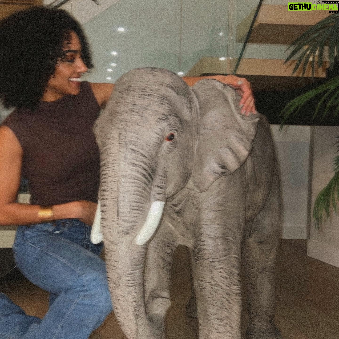 Chelsea Tavares Instagram - 💕🐘Harry Elephanté