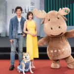 Chen Bolin Instagram - 🌕 今天台北最可愛的動物們應該都在這了吧🎉真是幸福的一天🩵✨ 還有超級可愛的🫎MILU和🐕AFURI 💓 🌜🦮🐕‍🦺🐩🐇🐈🐈‍⬛🐾🐾🐾 Volvo百寵安全夜行大成功🌛💖✨ @volvocarstaiwan #Volvomilu #VolvoCarsTaiwan 🐶🐱🐰✨