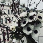 Chen Bolin Instagram - 🪻Another perfect day in Paris 🩵✨ C’est parfait 💫