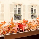Chen Bolin Instagram – Bonjour Paris 🇫🇷🤎🥐✨✨