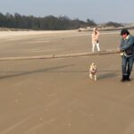 Chen Bolin Instagram – 📍海邊吹風郊遊日 🌤️🌊🪨🐚🩵✨

#不如海邊吹吹風
