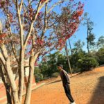 Chen Bolin Instagram – 美好的時光 ..🍁,🐈, 🌅