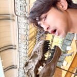 Chen Bolin Instagram - As of yet 🎨🪶 🎥… 🦖🦕🦒🐘🦛🐋🦋✨ @peterwuparis