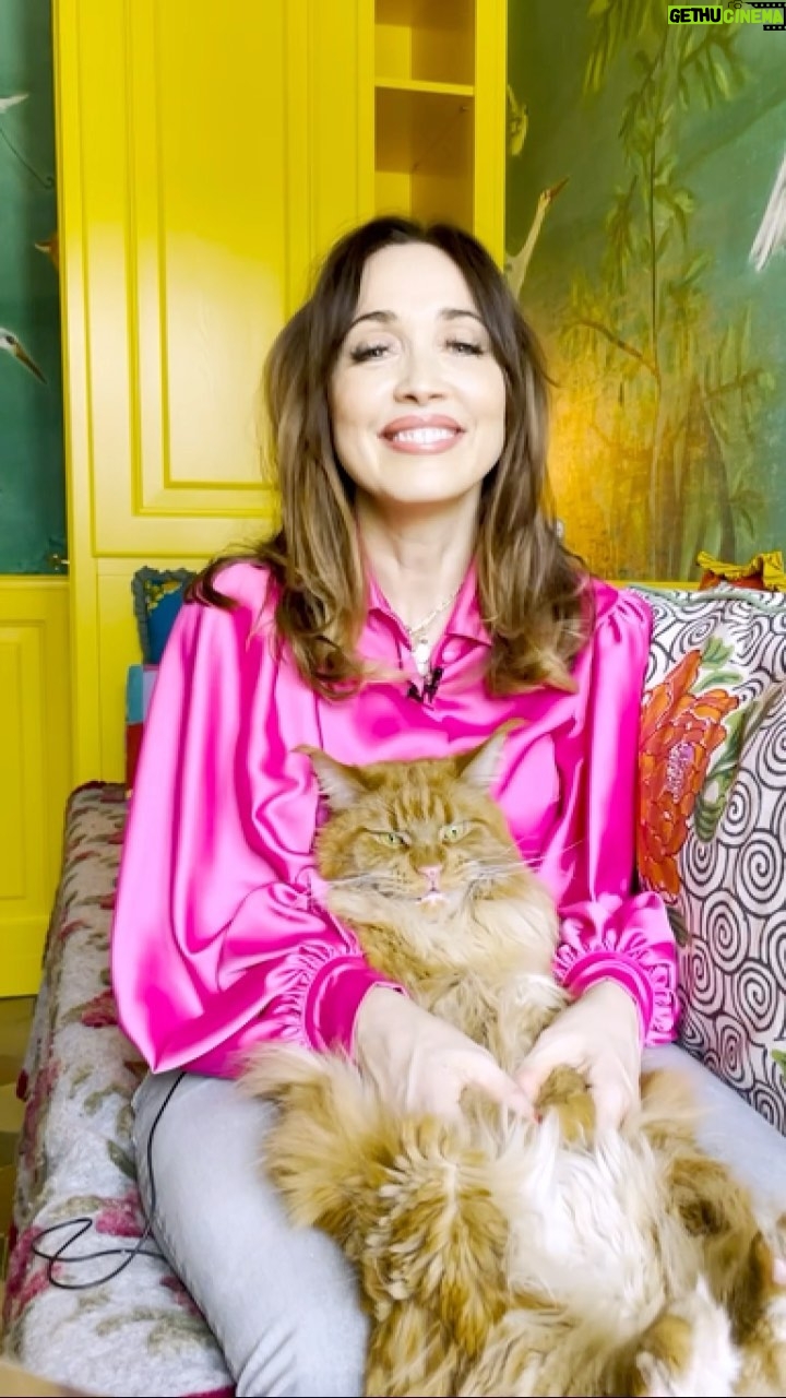 Chiara Francini Instagram - Ricorre oggi la solita pigrizia. Che fare? Ce lo dice Rollone con L’ALMAGATTO🐱, ovvero consigli sdraiati per giorni così! Insieme a @chiarafrancini ha molto altro da dirvi. E da mostrarvi. Da mercoledì 10 aprile alle 21.30 su #Rai1 e #RaiPlay #ForteeChiara