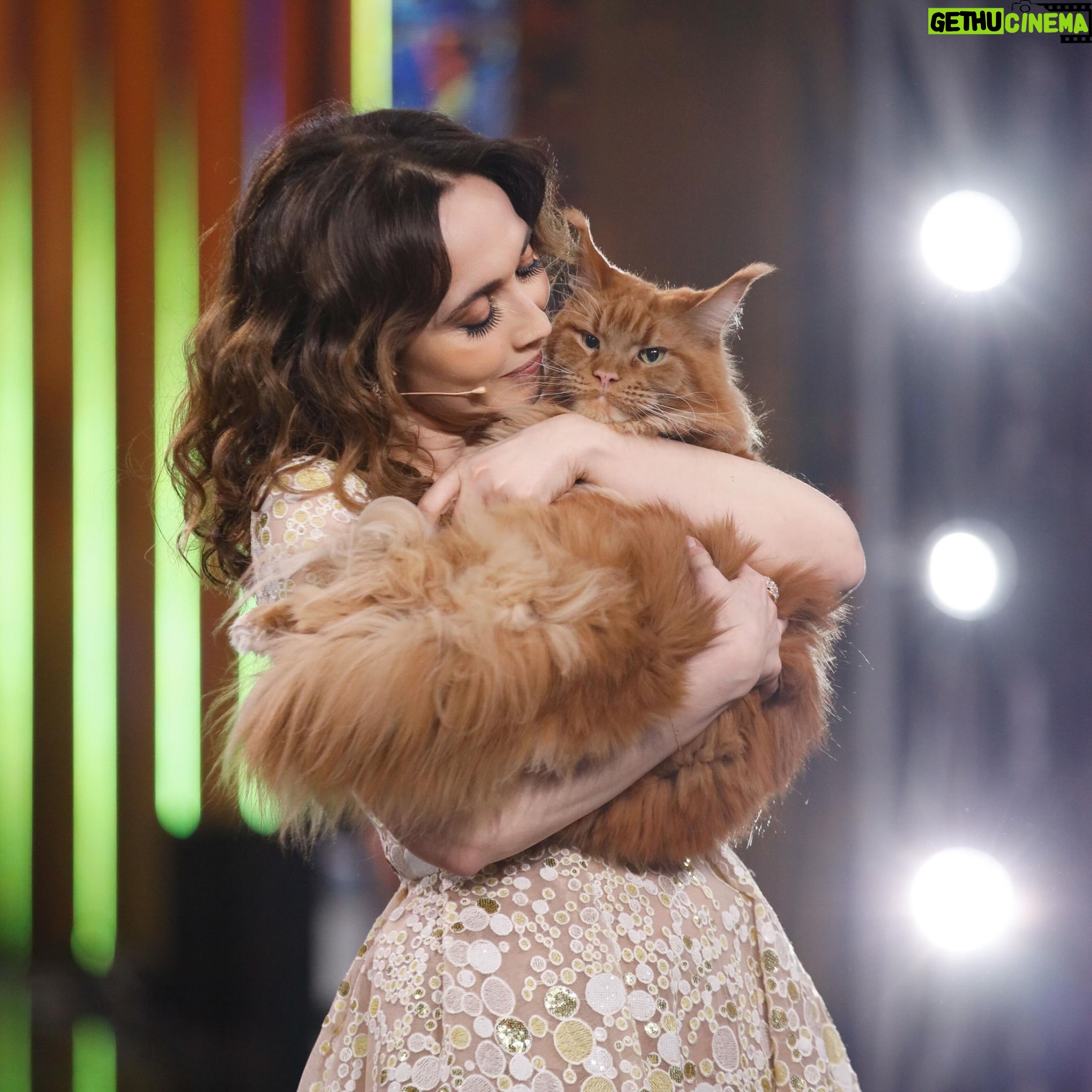Chiara Francini - 35.1K Likes - Signore, signori e tutto quello che sta nel mezzo, non ci siamo andati piano. Scusateci se siamo stati troppo forti, come un gintonic senza tonic.
Con Forte e Chiara abbiamo provato a mettere assieme in uno stesso show Cardinali e inviati di guerra, cliché sulle donne e pornostar, balletti con le piume e storie di bambini in un campo di concentramento, canzoni dei cartoni animati e Drag queen.
Forse ho esagerato. Ma il rischio comprende una dose di coraggio. Chiudiamo qui, con una schitarrata ben impiumata. Prendiamola come una dieta: invece di una taglia in meno una puntata in meno. Ma anche se più sottili, la gioia, la passione, la voglia di raccontare continueranno a imboccarci con grandi cucchiaiate! Ringrazio tutti quelli che hanno amato e non amato il mio show, i primi li aspetto a teatro, gli altri…pure! Buongustai!
#forteechiara