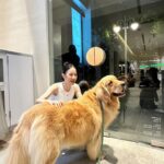 Chien Hung Instagram - 昨天的一日店長片段 🌼☀️ 活動在4/1 發報名表的時候好多人問 「是愚人節企劃嗎？😳」哈哈哈哈 謝謝所有報名參加的大家 也謝謝PAZZO用心佈景跟準備超多禮物 中獎機率超高很讚哈哈哈 立刻現場帶大家三泰民喊起來集氣 🔊 第二次的聯名從去年九月中開始討論 所以上線前一直很興奮 天氣轉熱接下來要來爆穿一波了 YA 🧡 #chienstyle #千175ootd @pazzo 🌸謝謝榆萱的影片好讚哈哈 ✨ 🌸謝謝PAZZO所有的工作人員跟銀針 ❤️‍🔥 #有正常版跟加長版可以挑選 #還沒逛的快去官網或門市看看🥰
