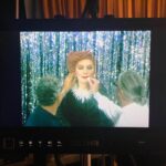 Chloë Sevigny Instagram - That’s a wrap!! Thank you to our amazing crew who worked above and beyond! @lypsinka #toxicfemininity #staytuned 💅🏻 @thenewgroupnyc @craigbutta @jjstratford @derekmclane @jeffmahshie and too many others! Please tag yourselves!