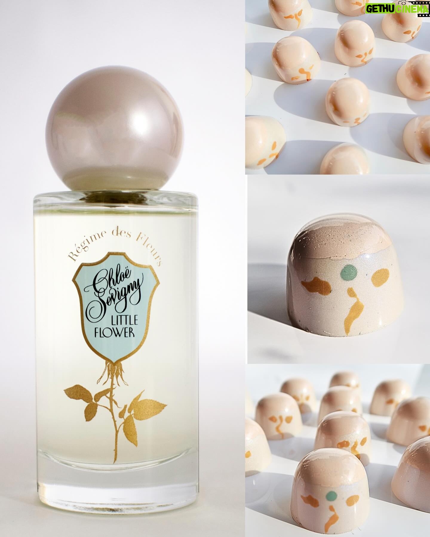 Chloë Sevigny Instagram - A Little surprise! Calling all romantics 🥀 Valentine’s Day is coming, so Régime des Fleurs and I cooked up the Little Flower chocolates collection, available now 🍫 Four exquisite handmade Valrhona chocolate bonbons, each flavored with notes from my signature perfume: rose, earl grey tea, black currant, & pomelo citrus. Crafted for us by Borough Chocolates in Greenpoint. It’s yours for free with the purchase of a 75ml bottle of Little Flower 🥀 @regimedesfleurs @boroughchocolates