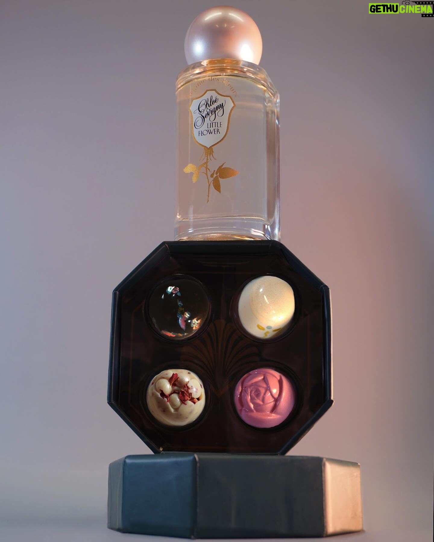 Chloë Sevigny Instagram - A Little surprise! Calling all romantics 🥀 Valentine’s Day is coming, so Régime des Fleurs and I cooked up the Little Flower chocolates collection, available now 🍫 Four exquisite handmade Valrhona chocolate bonbons, each flavored with notes from my signature perfume: rose, earl grey tea, black currant, & pomelo citrus. Crafted for us by Borough Chocolates in Greenpoint. It’s yours for free with the purchase of a 75ml bottle of Little Flower 🥀 @regimedesfleurs @boroughchocolates