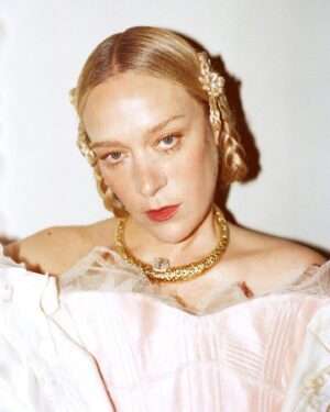 Chloë Sevigny Instagram - Pre party. 🥀
Thanks for capturing @hedistanton_