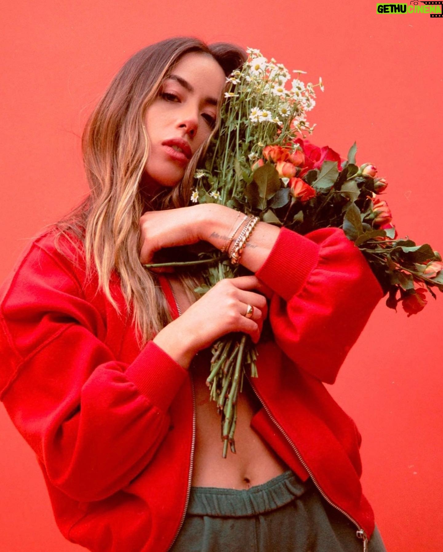 Chloe Bennet - 180.7K Likes - sour n sweet for the kids in the back šø: @selashiloni