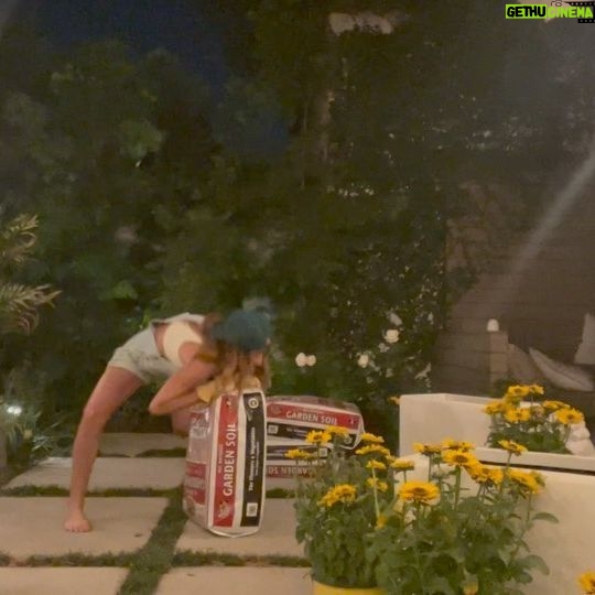 Chloe Bennet - 256.4K Likes - night gardening (and whatever the fuck else iām doing here) is my new favorite hobby >>> swipe for video proof of why iām single š»