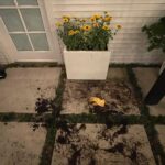 Chloe Bennet Instagram - night gardening (and whatever the fuck else i’m doing here) is my new favorite hobby >>> swipe for video proof of why i’m single 🌻