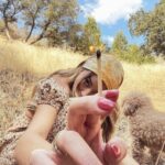 Chloe Bennet Instagram -