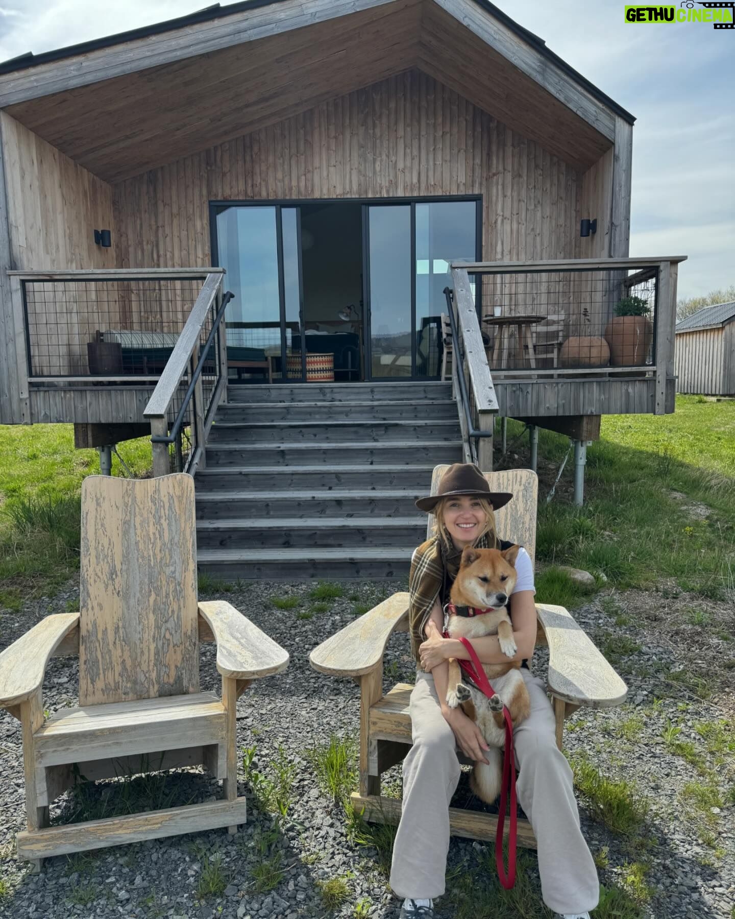 Chloe Fineman Instagram - @wildflowerauberge we came, we relaxed, we met donkeys, and one of us took shit in the woods