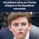 Chloe Fineman Instagram - Why do i look exactly like Barron Trump??