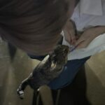 Choi Soo-bin Instagram – #monthlysoobin 

나의 3월