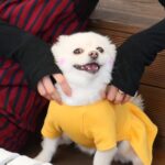 Choi Yeon-cheong Instagram - 🐶❤️