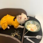 Choi Yeon-cheong Instagram - 🐶 7살인데 원숭이 시기 온..아이 단 둘이 데이트🫶🏻