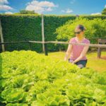 Chris Flores Instagram - Bom dia ☀️ quem aí ama uma salada bem fresquinha? 🥬 um sábado iluminado pra vc 🙌🏼