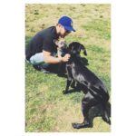 Chris Wood Instagram - This dog's expression kills me.