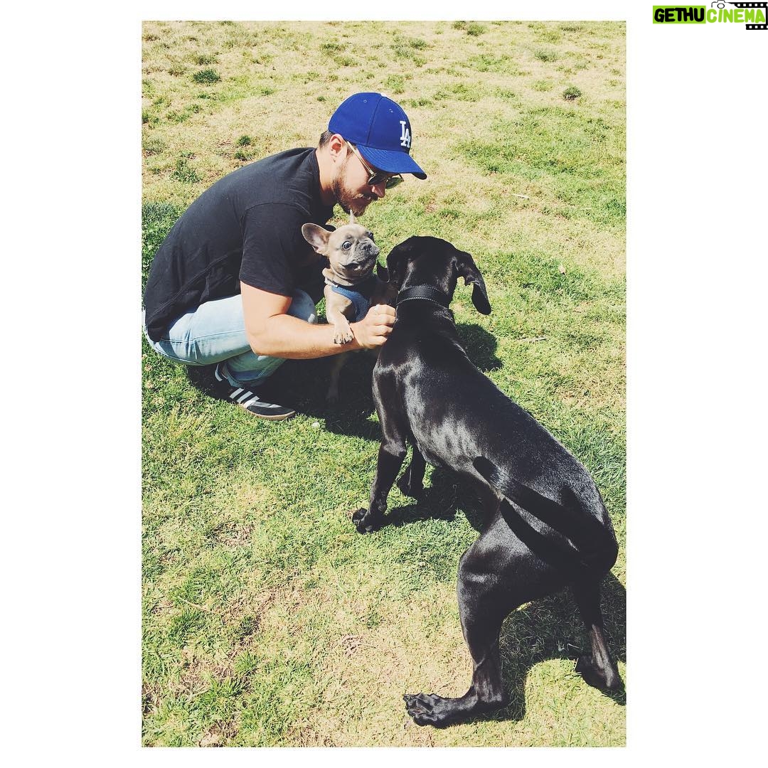 Chris Wood Instagram - This dog's expression kills me.