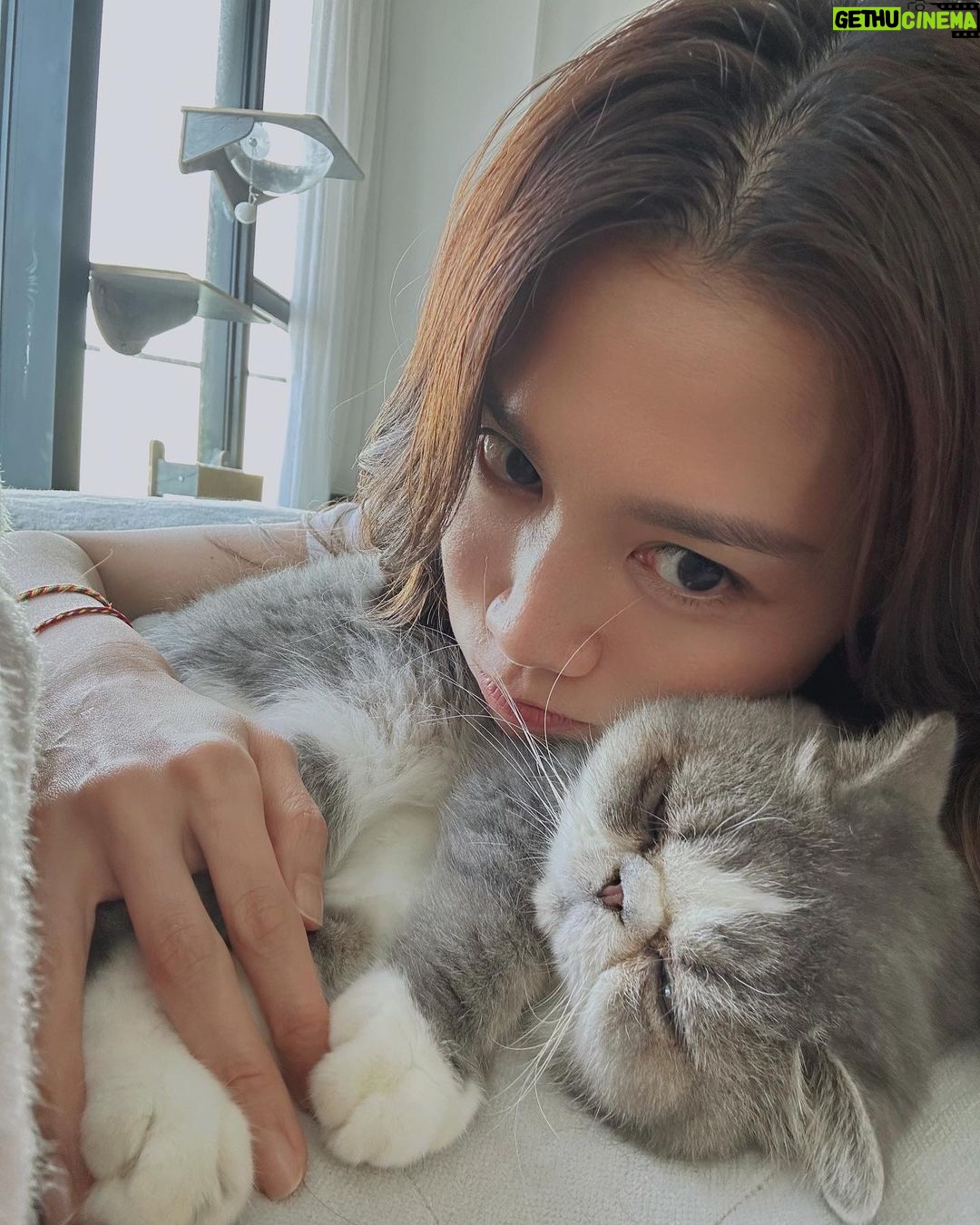 Chrissie Chau - 16.3K Likes - 遲來的生日祝福😘
8歲🦁Ball
越大越有性格
希望你越長越健康☺️
#1030
#合照都要偷影🤷🏻♀️
#仲唔俾我捉到你😏
#鏡頭厭惡症
#拍patpat拍到手軟
#拍pat專人🤪