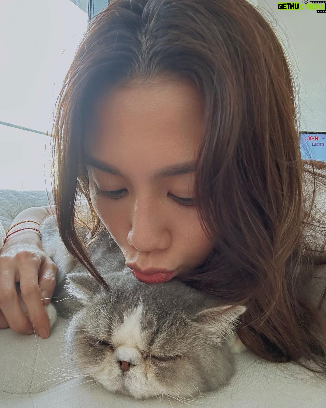 Chrissie Chau - 16.3K Likes - 遲來的生日祝福😘
8歲🦁Ball
越大越有性格
希望你越長越健康☺️
#1030
#合照都要偷影🤷🏻♀️
#仲唔俾我捉到你😏
#鏡頭厭惡症
#拍patpat拍到手軟
#拍pat專人🤪