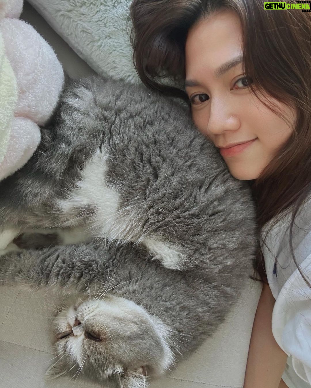 Chrissie Chau - 16.3K Likes - 遲來的生日祝福😘
8歲🦁Ball
越大越有性格
希望你越長越健康☺️
#1030
#合照都要偷影🤷🏻♀️
#仲唔俾我捉到你😏
#鏡頭厭惡症
#拍patpat拍到手軟
#拍pat專人🤪