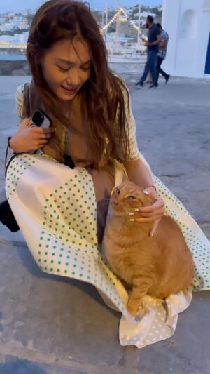 Chrissie Chau Instagram - 海島我碰上的貓🐈
😼條裙好好玩

#mykonos #mykonosgreece #island #greece 
#貓島
#處處是貓 
#處處有驚喜 
#貓星人 
#好肥呀你