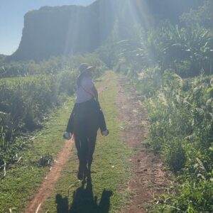 Chrissie Fit Instagram - Who would’ve pegged me as a guajira? Los paisajes de Cuba son una maravilla. The Cuban countryside is unreal. I recommend you go there and buy tobacco directly from the farmers. They are forced to give 90% of their crops to the government and only have 10% to sell themselves. It’s more authentic this way and you’re helping the farmer, who takes so much pride in growing their tobacco, fruits, veggies, and coffee. Btw, I did not know how to smoke a cigar. At the risk of losing my Cuban card, I will post in my stories 😅

#Cuba #Vinales #CuevaDelIndio #palenquedeloscimarrones #cubancountryside #ReturnToMyRoots #CubanHeritage #Cuban #Guajiro #Guajira