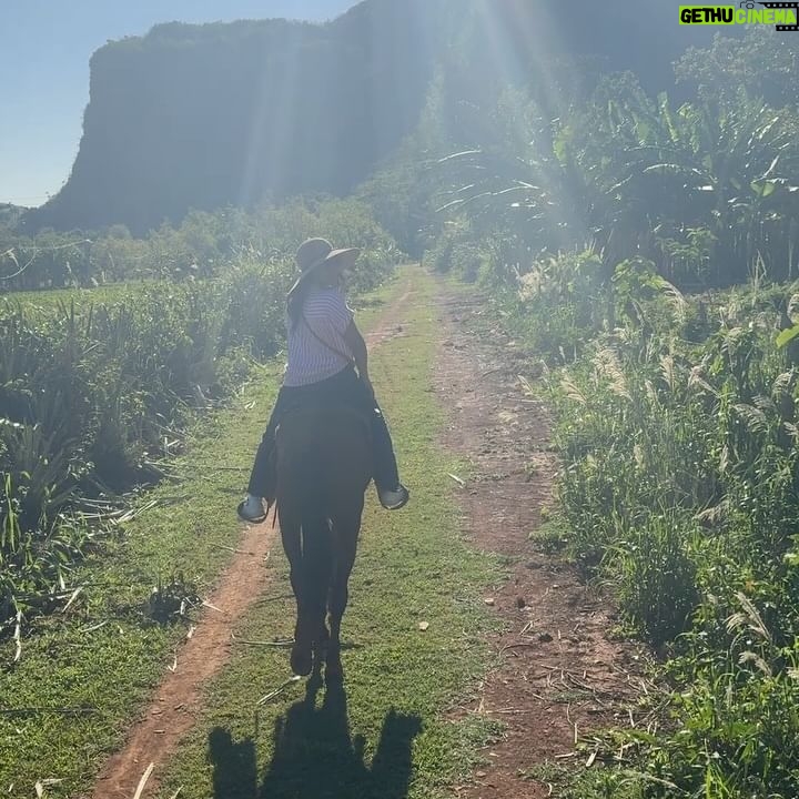 Chrissie Fit - 3 Likes - Who wouldāve pegged me as a guajira? Los paisajes de Cuba son una maravilla. The Cuban countryside is unreal. I recommend you go there and buy tobacco directly from the farmers. They are forced to give 90% of their crops to the government and only have 10% to sell themselves. Itās more authentic this way and youāre helping the farmer, who takes so much pride in growing their tobacco, fruits, veggies, and coffee. Btw, I did not know how to smoke a cigar. At the risk of losing my Cuban card, I will post in my stories š
#Cuba #Vinales #CuevaDelIndio #palenquedeloscimarrones #cubancountryside #ReturnToMyRoots #CubanHeritage #Cuban #Guajiro #Guajira
